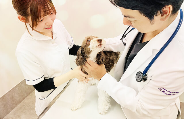 講義イメージ